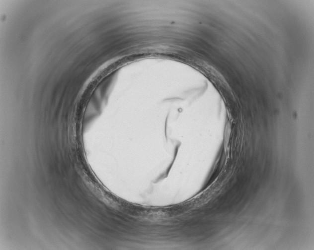 X0000086110784200704202305