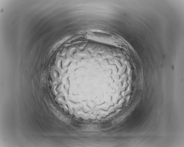 X0000086110785200704202305