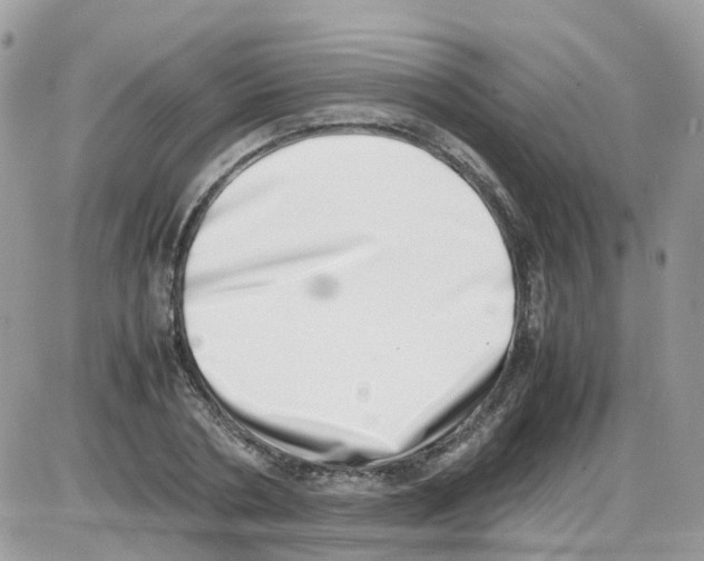 X0000086110786200704202305