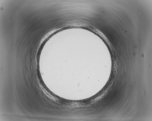 X0000086110787200704202305