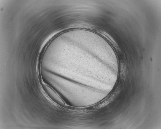 X0000086110788200704202305