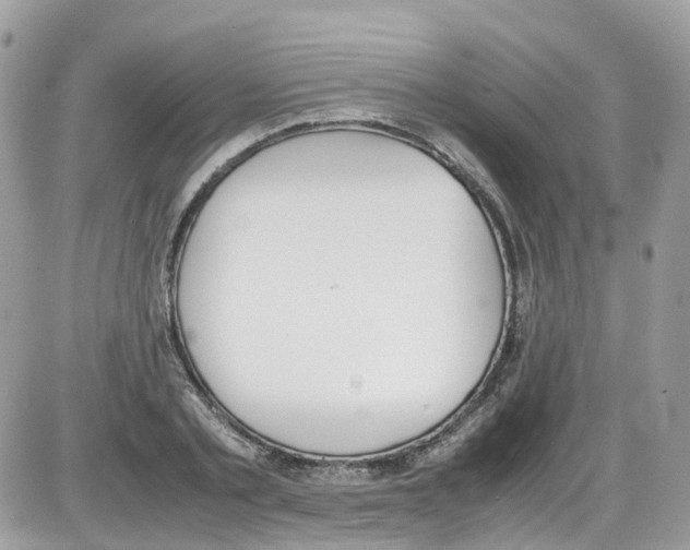 X0000086110789200704202304