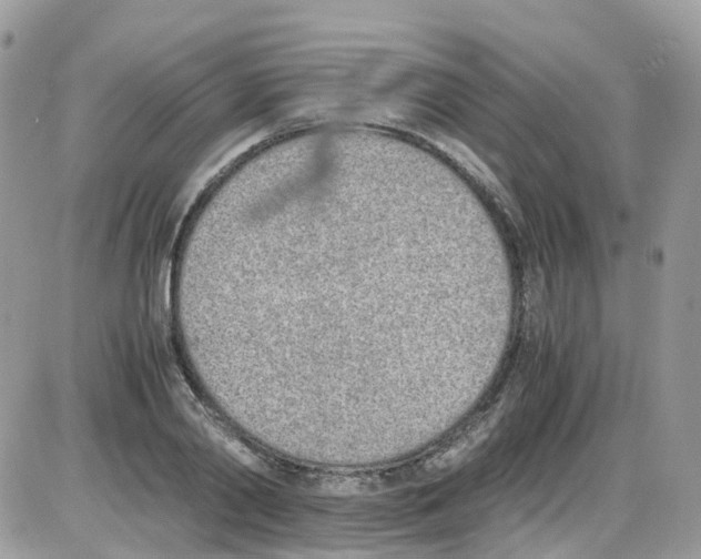 X0000086110790200704202304