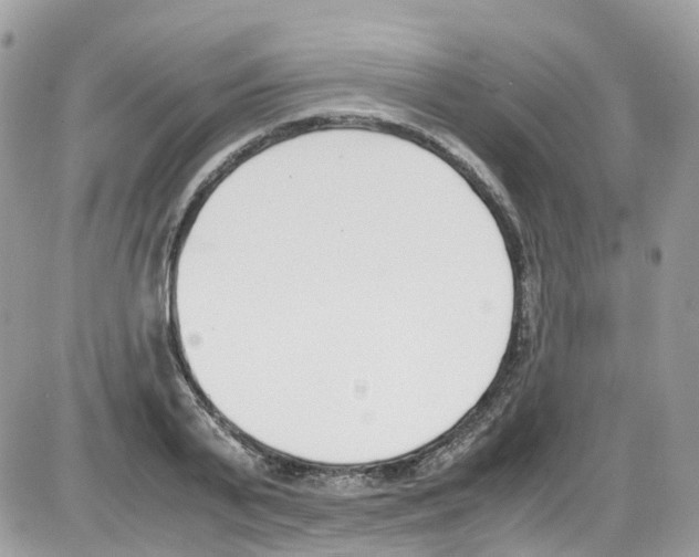 X0000086110791200704202304