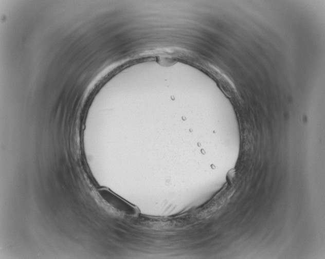 X0000086110792200704202304