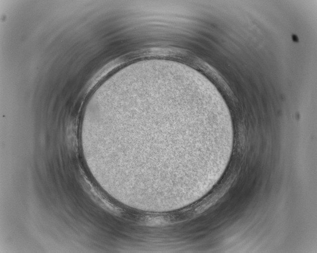 X0000086110794200704202304