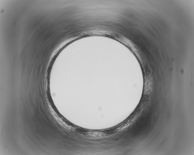 X0000086110795200704202304