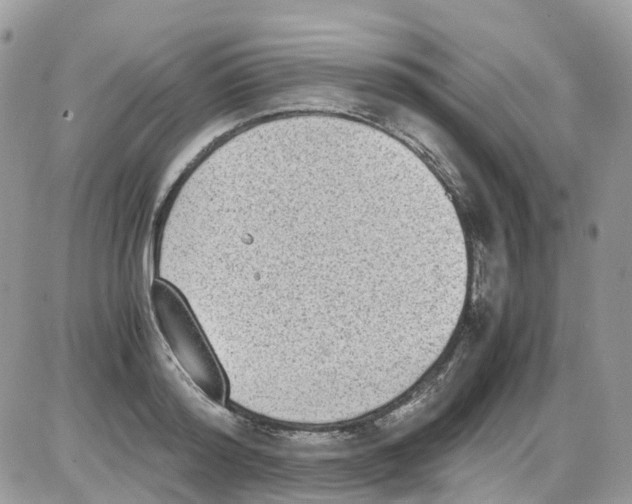 X0000086110796200704202304