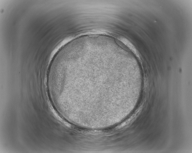 X0000086110797200704202304