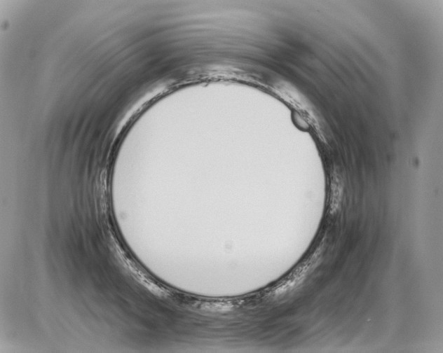 X0000086110798200704202304