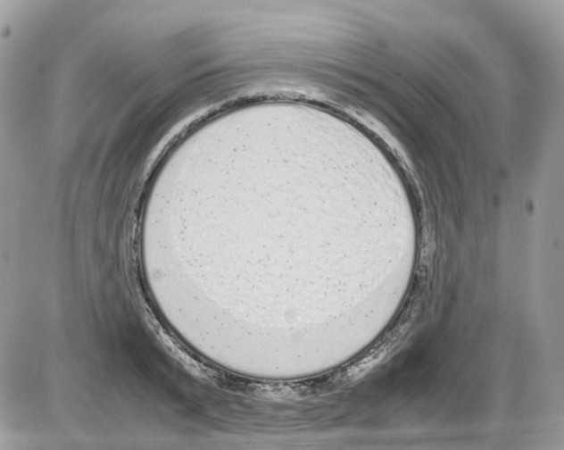 X0000086110799200704202304