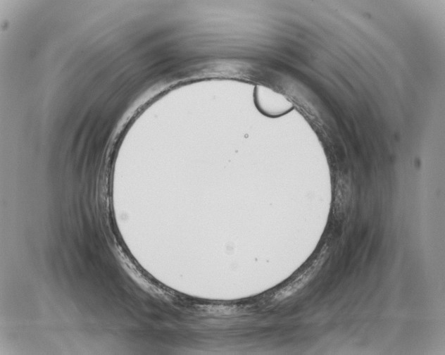 X0000086110800200704202304