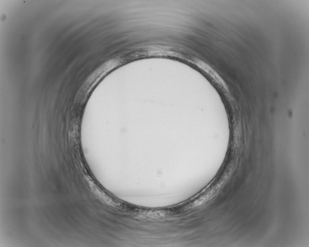 X0000086110801200704202304