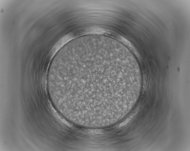 X0000086110802200704202304