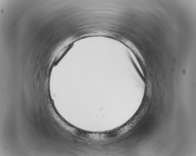 X0000086110805200704202304