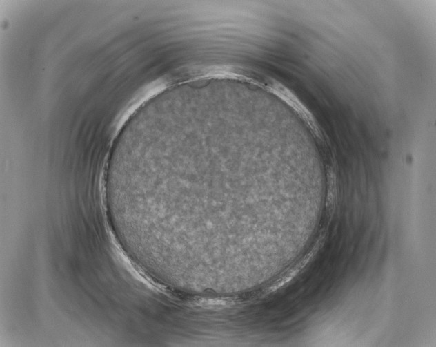 X0000086110806200704202304