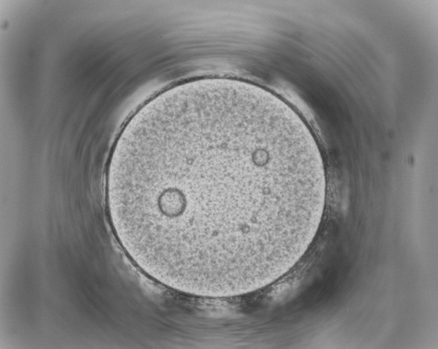 X0000086110807200704202304