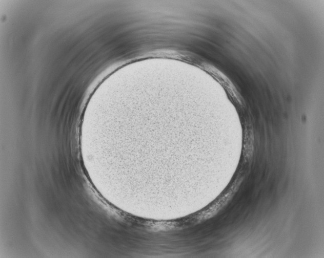 X0000086110808200704202304