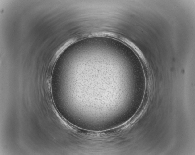 X0000086110809200704202304