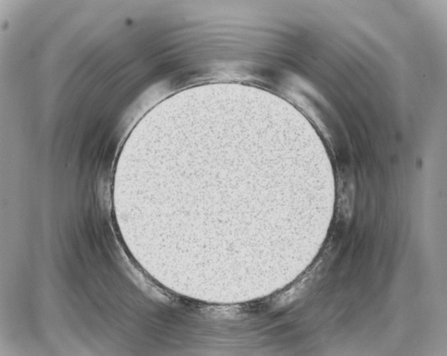 X0000086110810200704202304