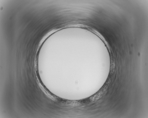 X0000086110811200704202304