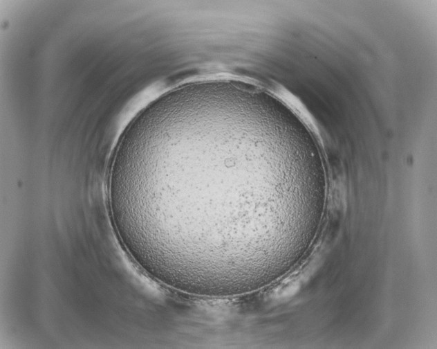 X0000086110813200704202304