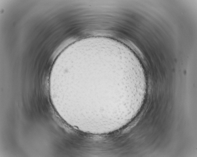 X0000086110814200704202304