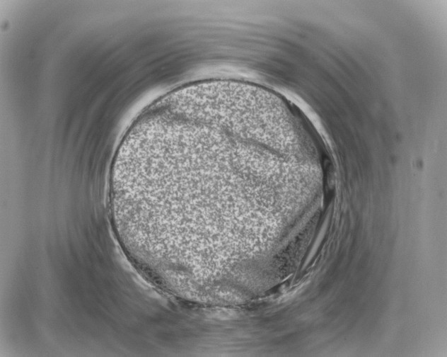 X0000086110815200704202304