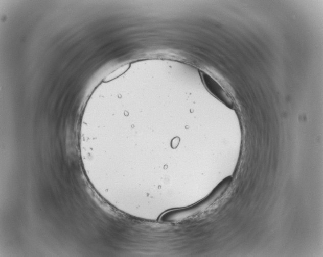 X0000086110816200704202304