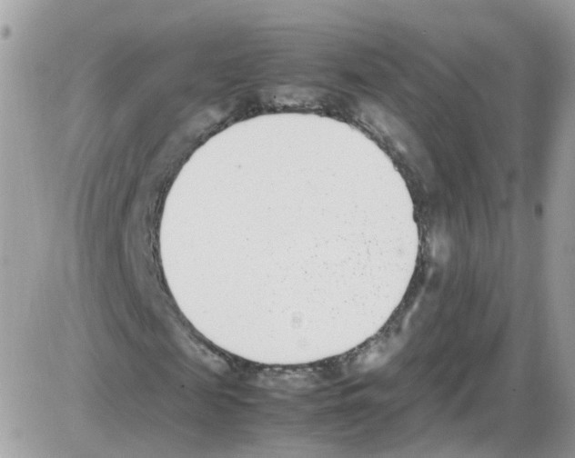 X0000086110817200704202303