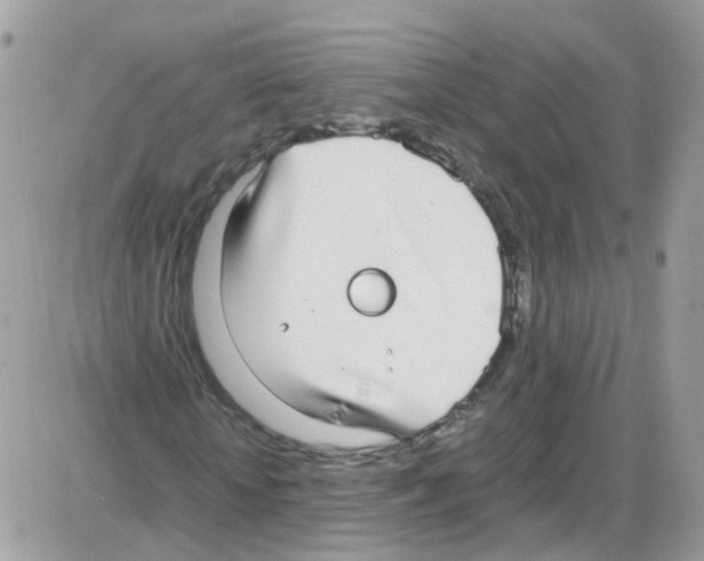 X0000086110818200704202303