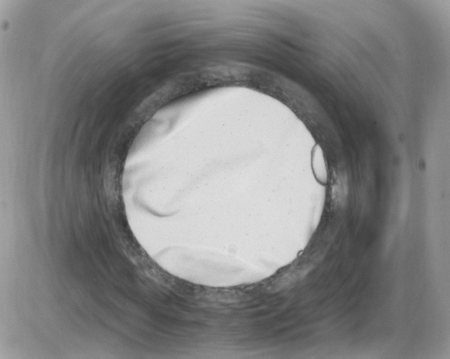 X0000086110819200704202303