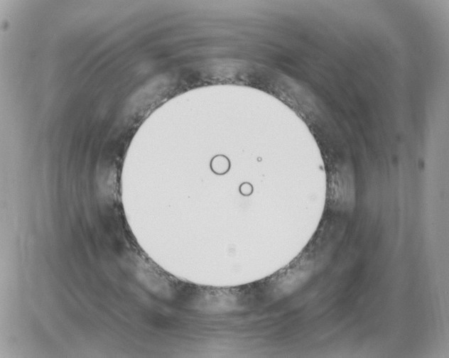 X0000086110820200704202303