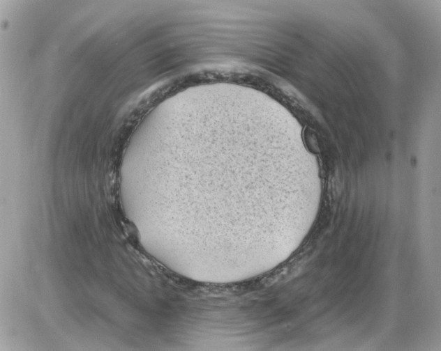 X0000086110822200704202303