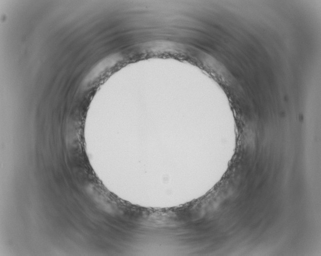 X0000086110824200704202303