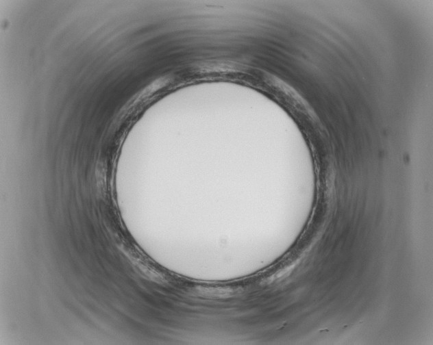 X0000086110825200704202303