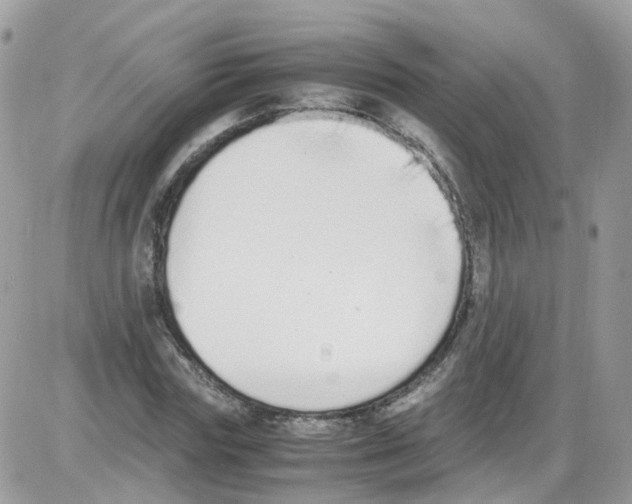 X0000086110827200704202303