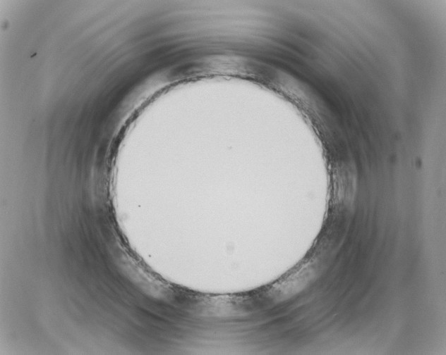 X0000086110828200704202303