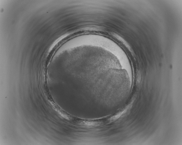 X0000086110829200704202303