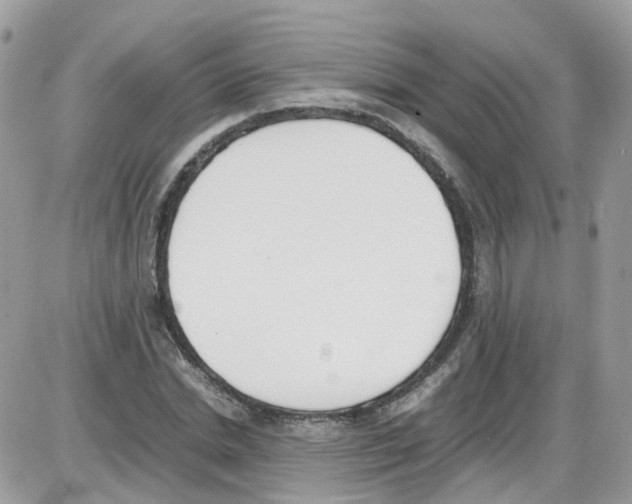 X0000086110830200704202303