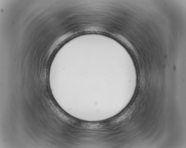 X0000086110831200704202304