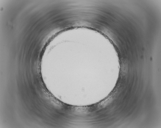 X0000086110832200704202304