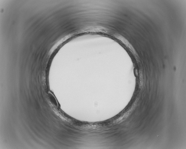 X0000086110834200704202304