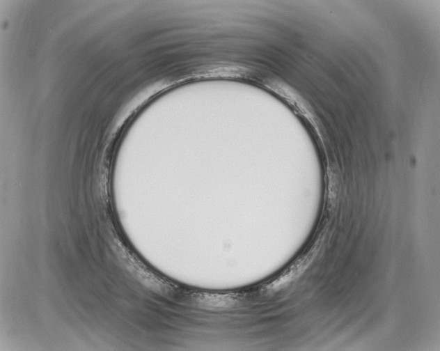 X0000086110835200704202304