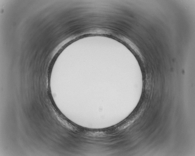 X0000086110837200704202304