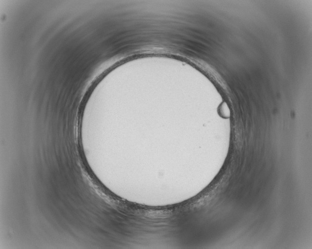 X0000086110839200704202304