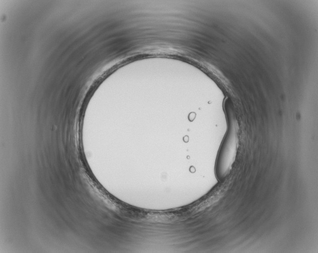 X0000086110840200704202304