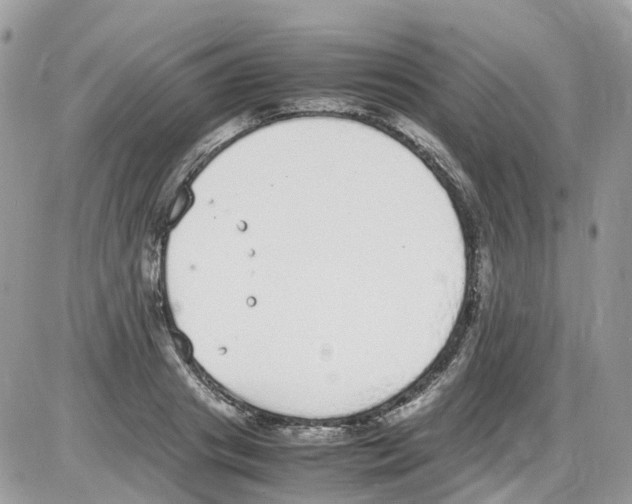 X0000086110841200704202304