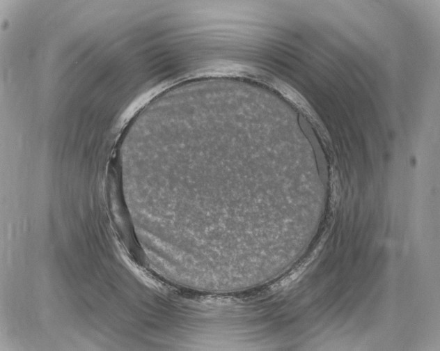 X0000086110842200704202304