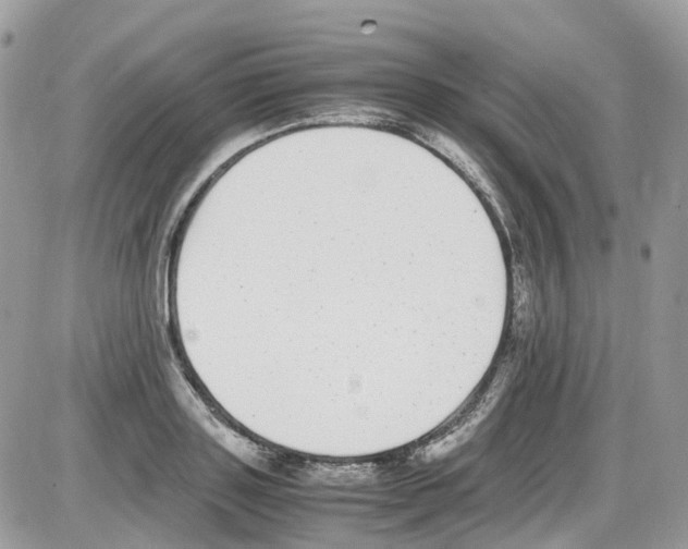 X0000086110843200704202304